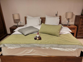APARTMAN lux B614, Aparthotel Vučko, Jahorina, private host